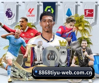 8868体育 APP